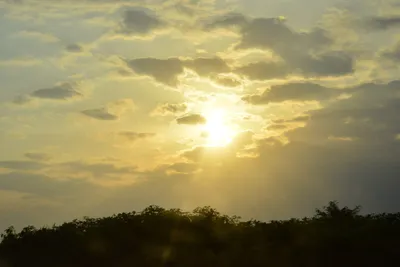 DSC_5404 (Large).JPG